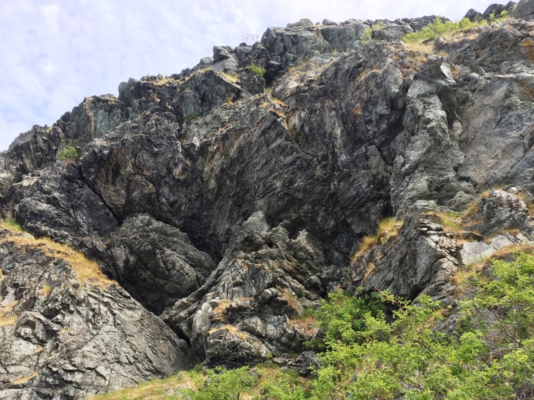 Fruhling-Blodpuddingen