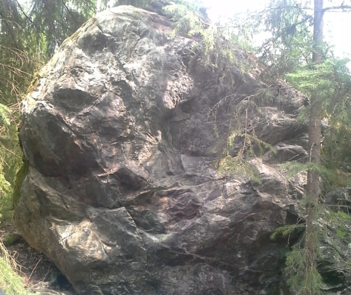 Tappajahyönteiskivi