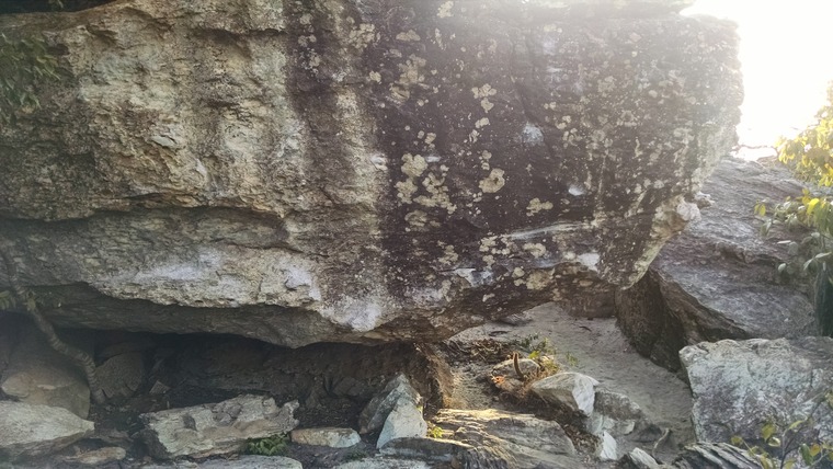 Casa da Cobra / Florestinha