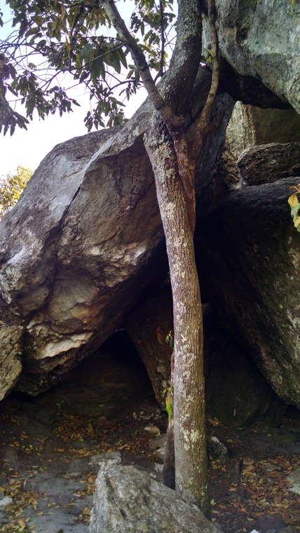 Casa da Cobra / Florestinha