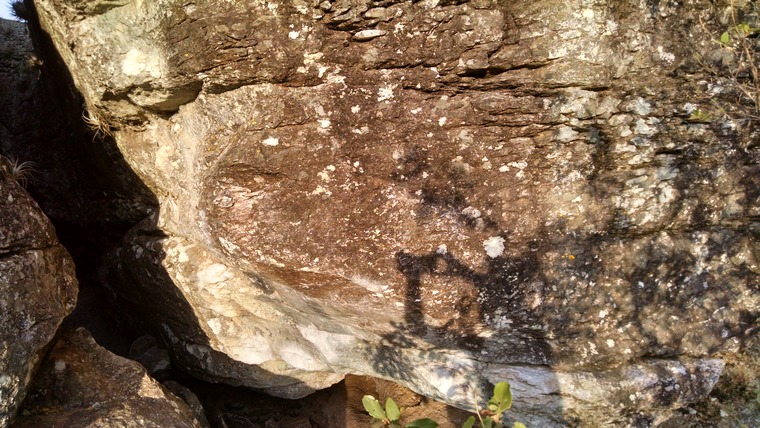 Casa da Cobra / Florestinha