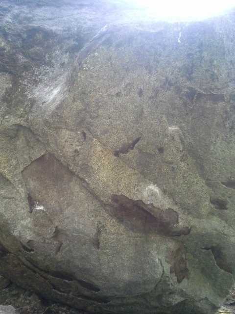 Kippurin tavis (Paikka tarkentuu myöhemmin)