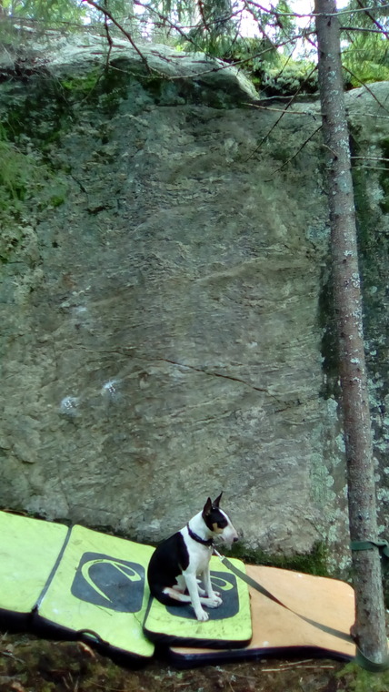 Солнечный сектор