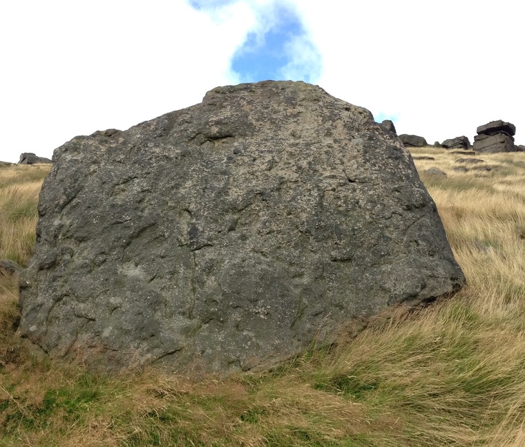 Sector F/Tails and No Tails