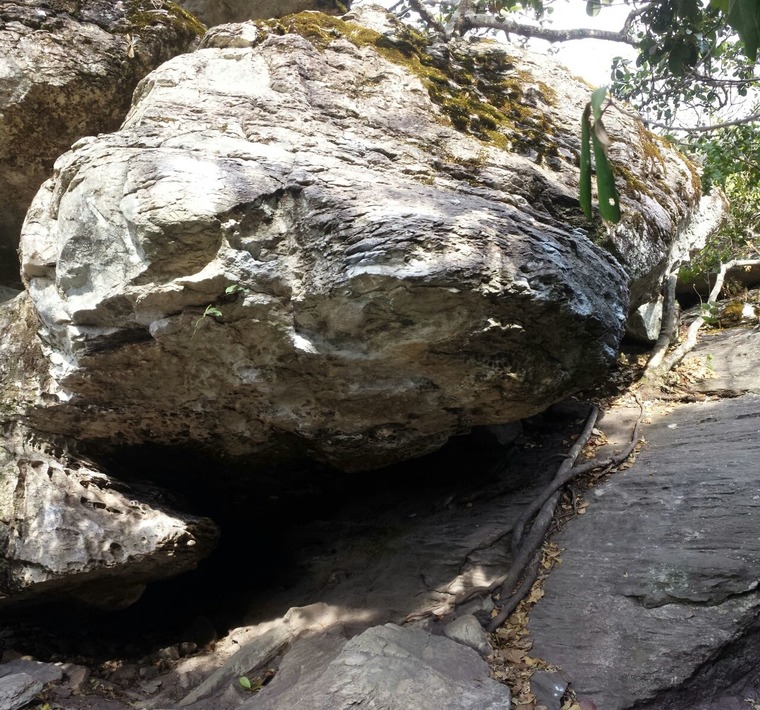 Casa da Cobra / Florestinha