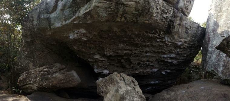 Casa da Cobra / Florestinha