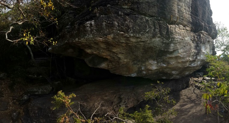 Casa da Cobra / Florestinha