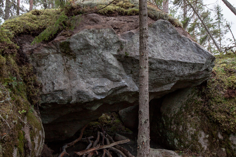 Sea cliffs in the woods