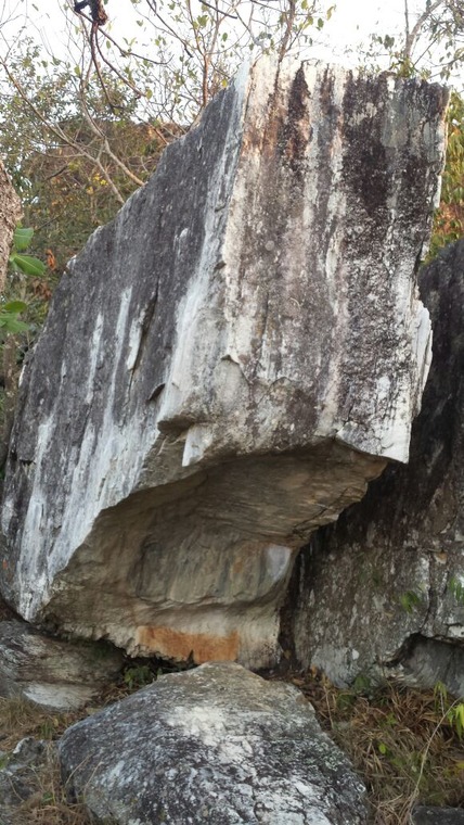 Casa da Cobra / Florestinha