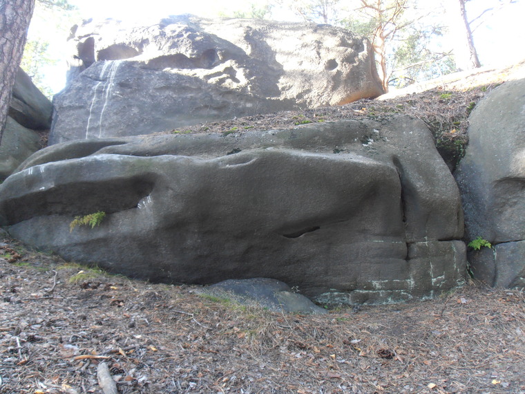 Сектор Электричка