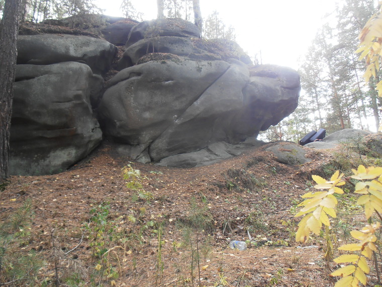 Сектор Гибон