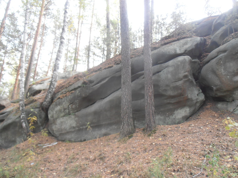 Сектор Гибон