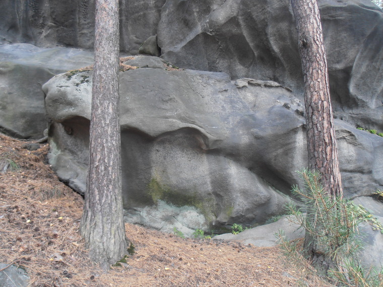 Сектор Гибон