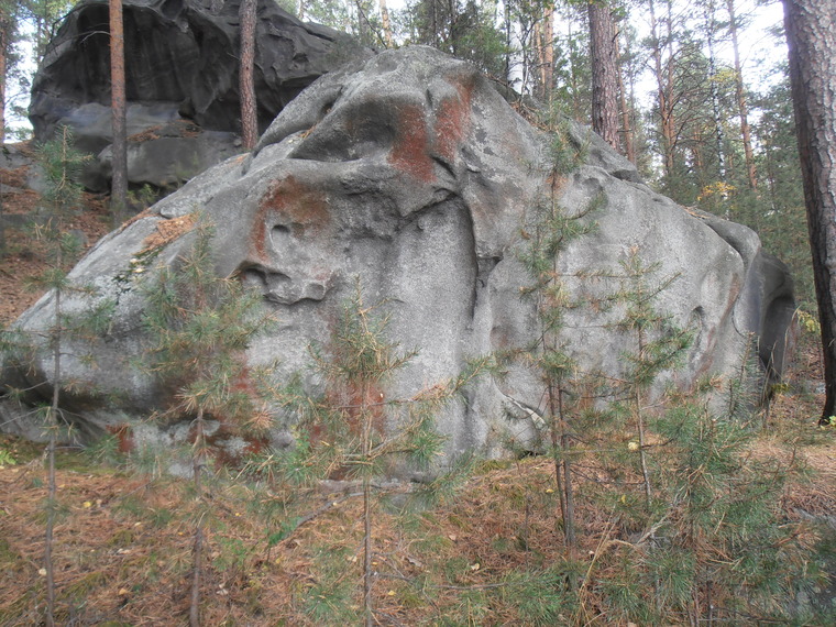 Сектор Гибон