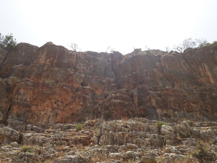 הסקטור הטבעי