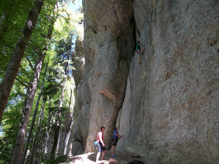 Rotachberg Falkenstein