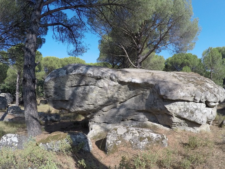 Hit your head on the wall