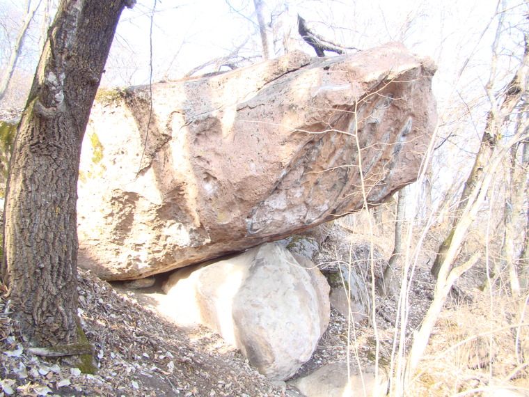 Хромая газель