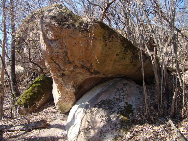 Терминатор