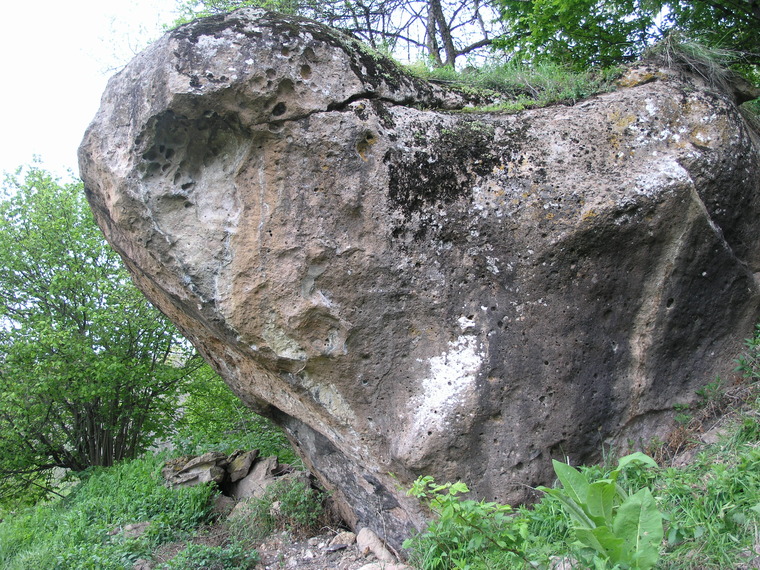 Улей одинокой пчелы