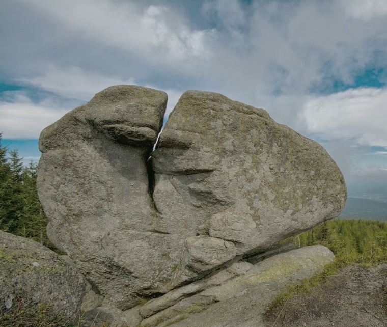 Wielbłąd (Pałacyk)