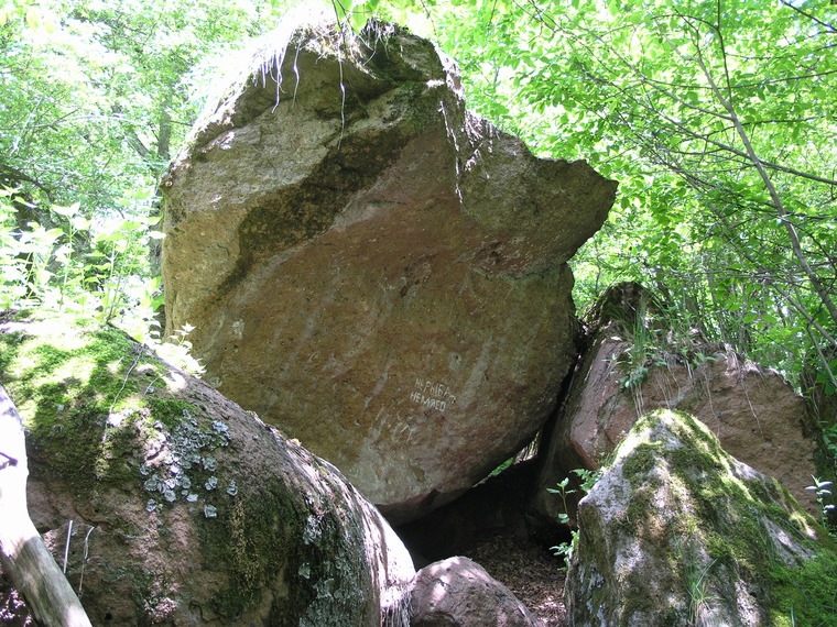 нЕ рыба, нЕ мясо