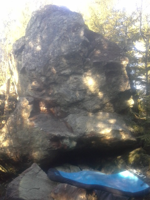 Koivuniemen pikkusisko