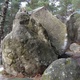 Sick Sad World thumbnail