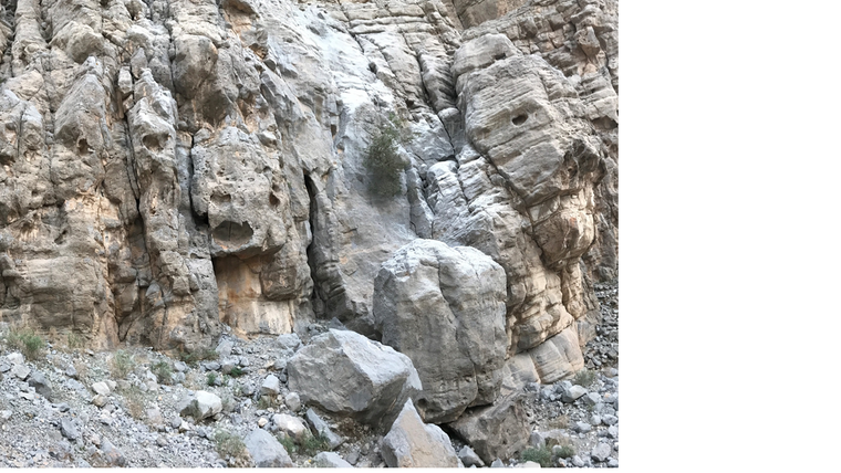 Dickinadozer far right