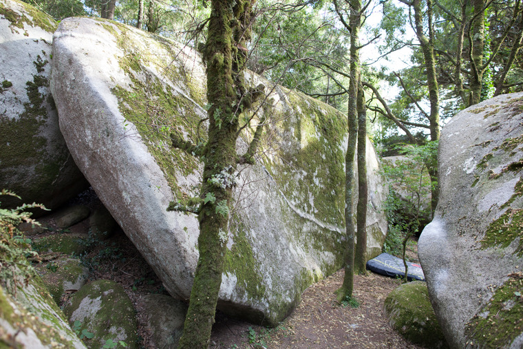 Peninha Nova - Massa Expansiva