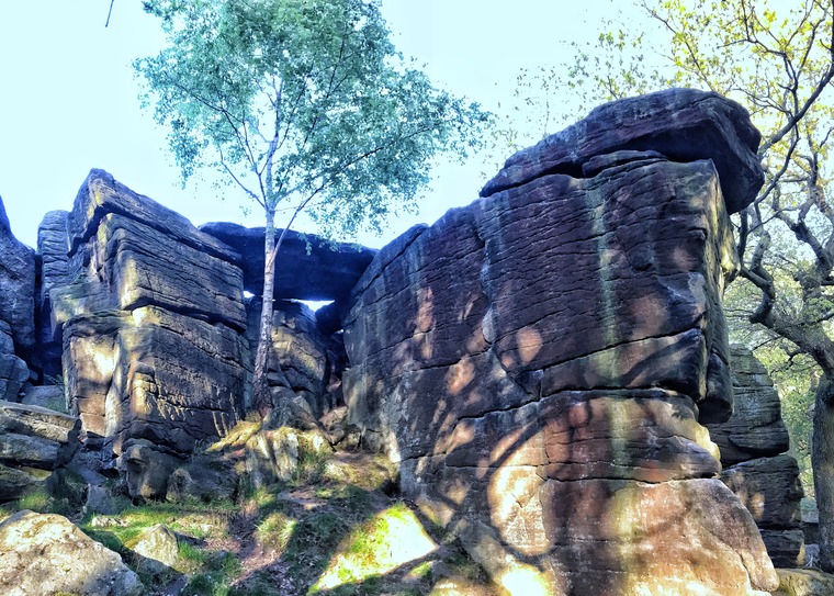 Mouse Wall Area (Tiger Wall)