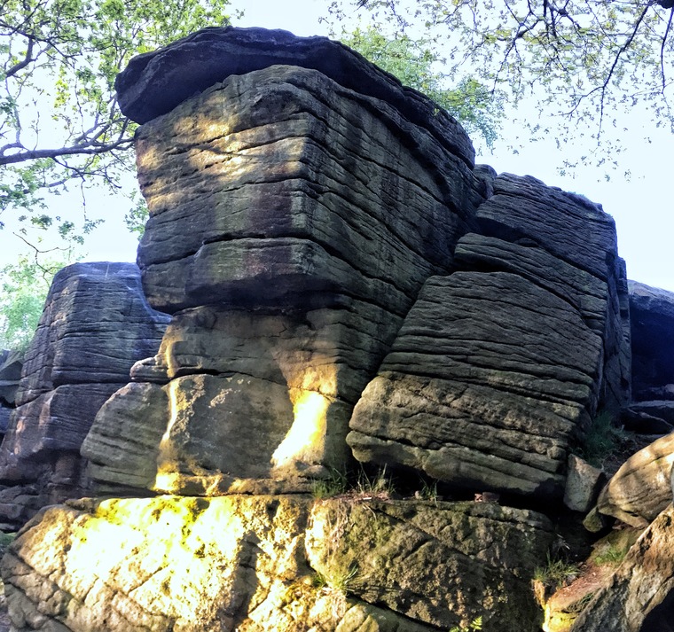 Mouse Wall Area (Tiger Wall)