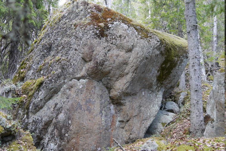 Krokodilstenarna (E)