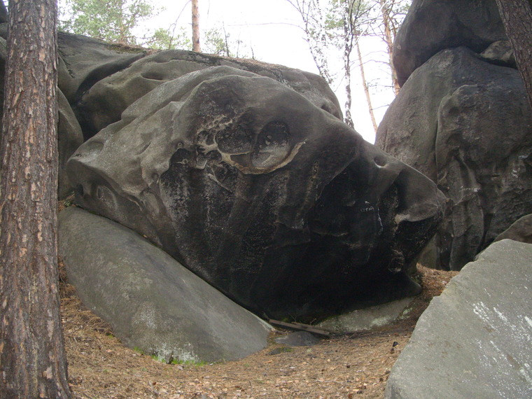 Сектор Электричка