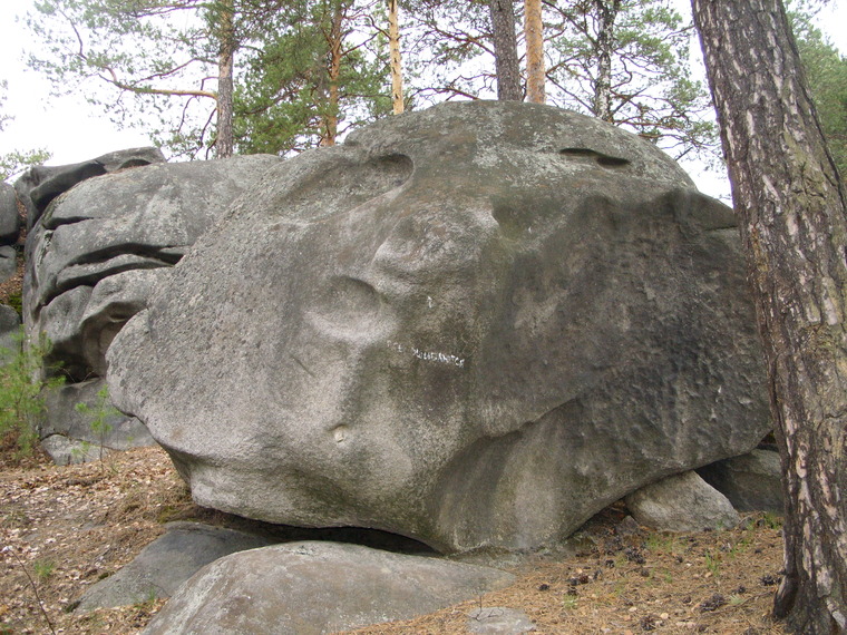 Сектор Электричка