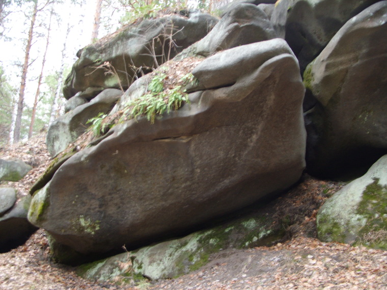 Сектор Морячок