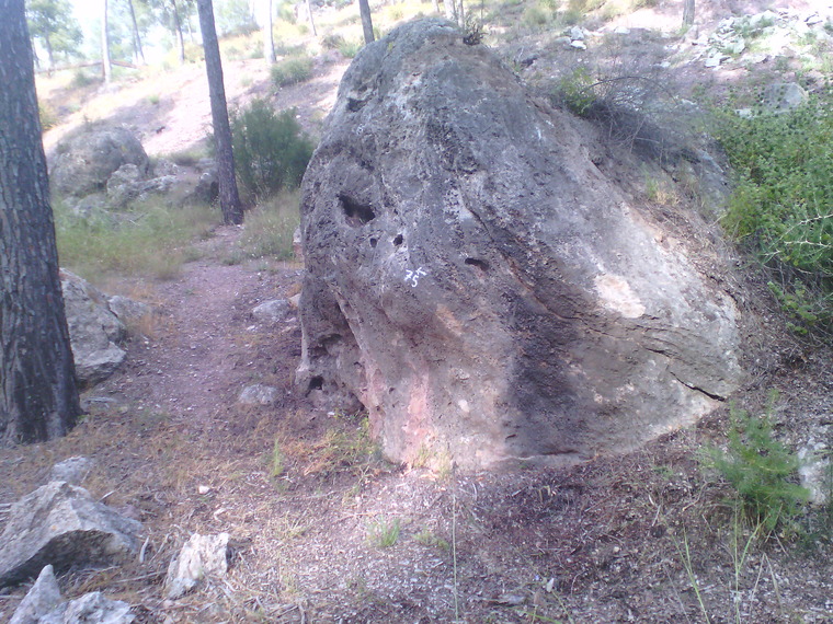 Primer sector (bajo)