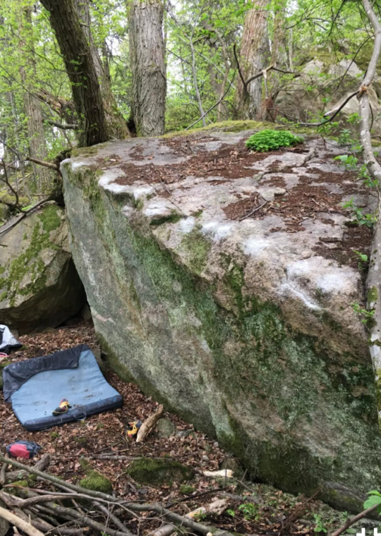 Stammehøvdingens krabbedans