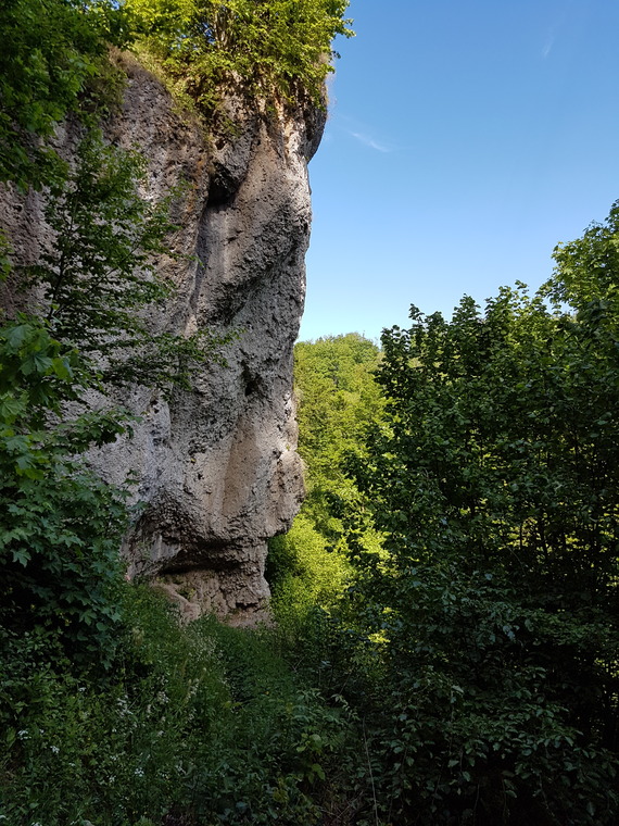 Bauernschmitt ged.-wand