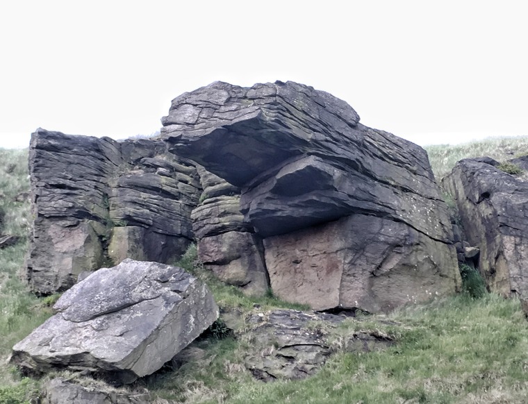 Sector C/Maximus Laxative