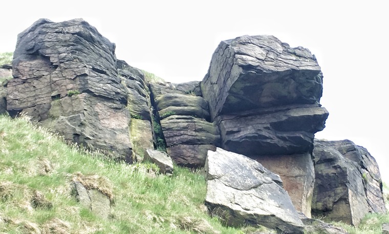 Sector C/Maximus Laxative