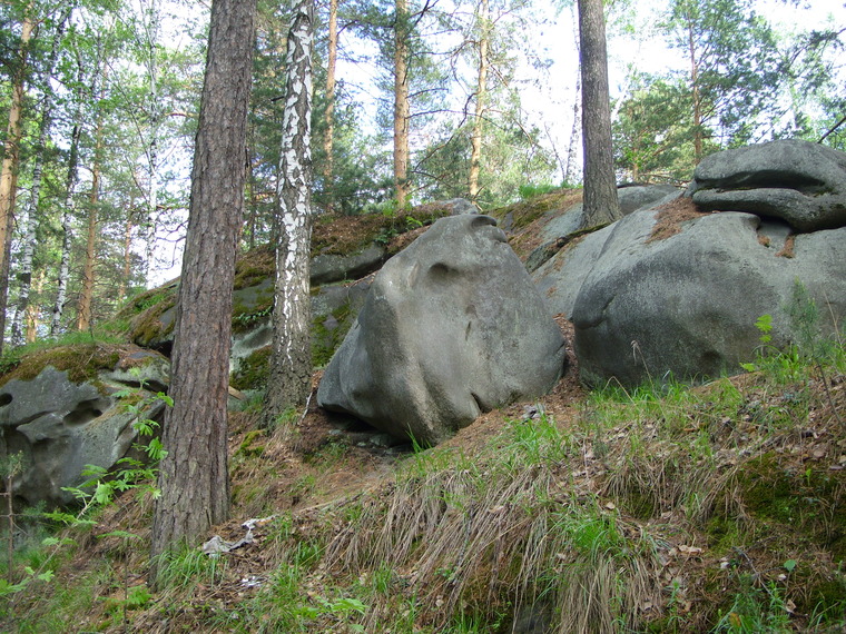 Сектор Гибон