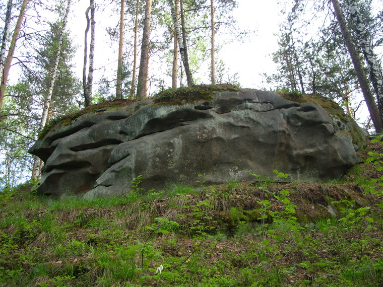 Сектор Гибон