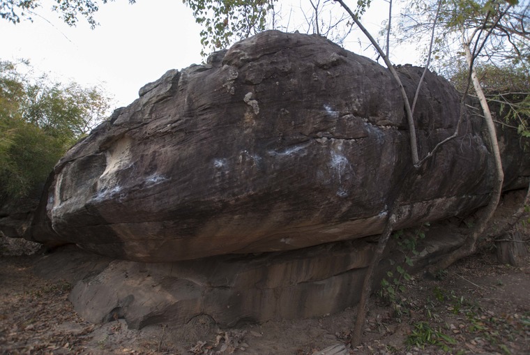 The Eucalyptus east and west