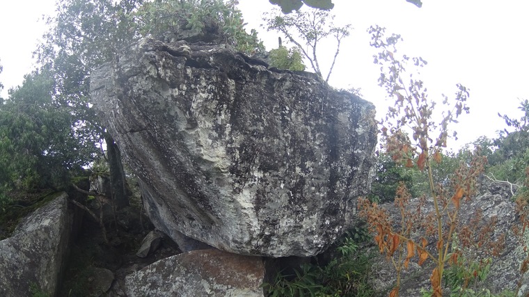 Casa da Cobra / Florestinha