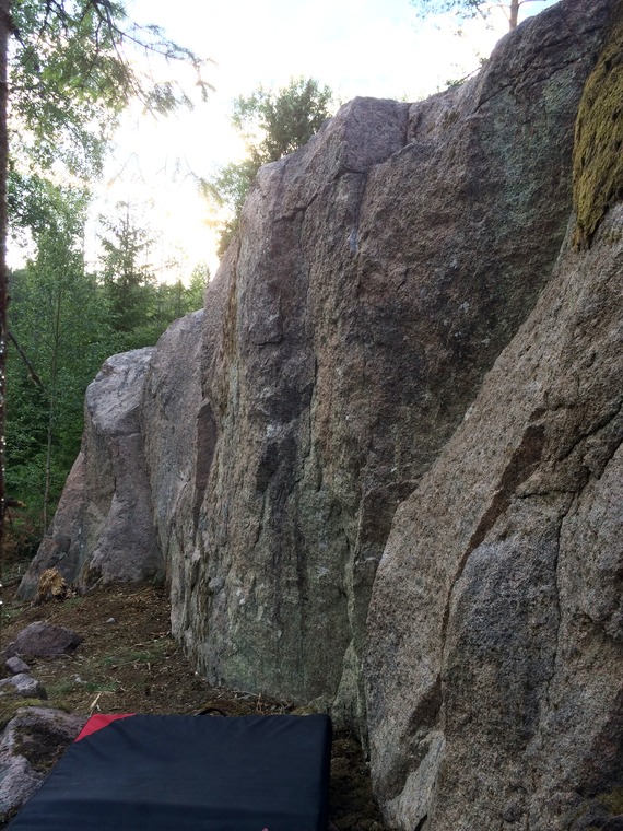 To not disturb the pipí (main)