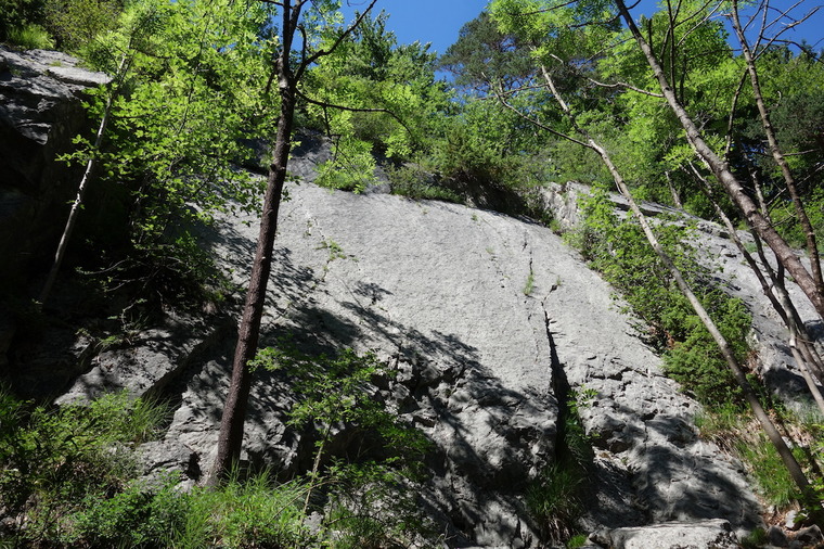 Untere Schwanseeplatte