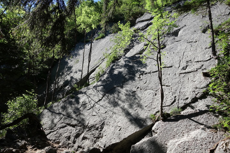 Untere Schwanseeplatte