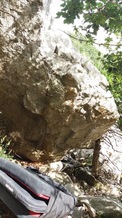 Holly Tree Roof (low start)