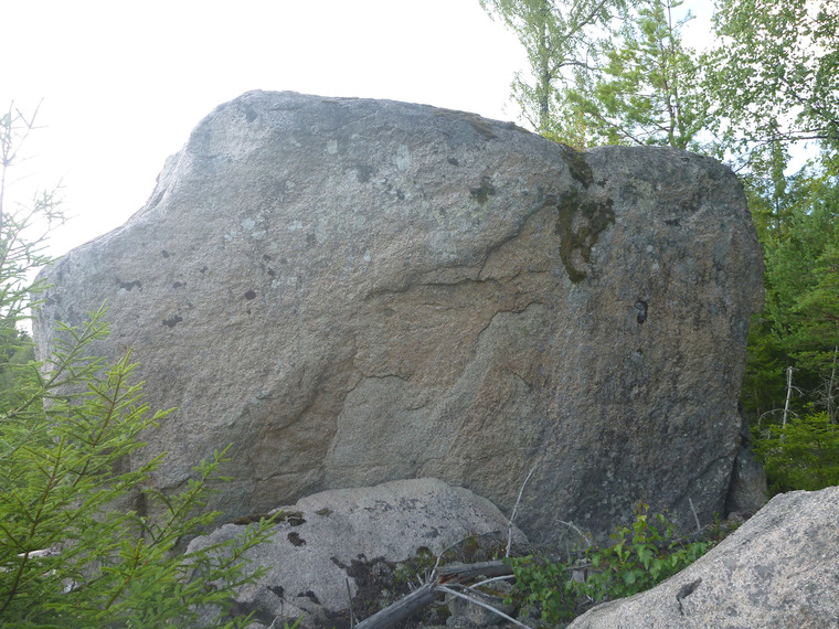 Älgakärret - Hygge